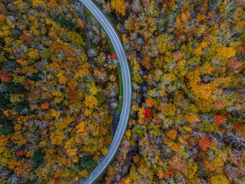 A winding road through dense autumn forest with colorful orange, yellow, and green foliage.