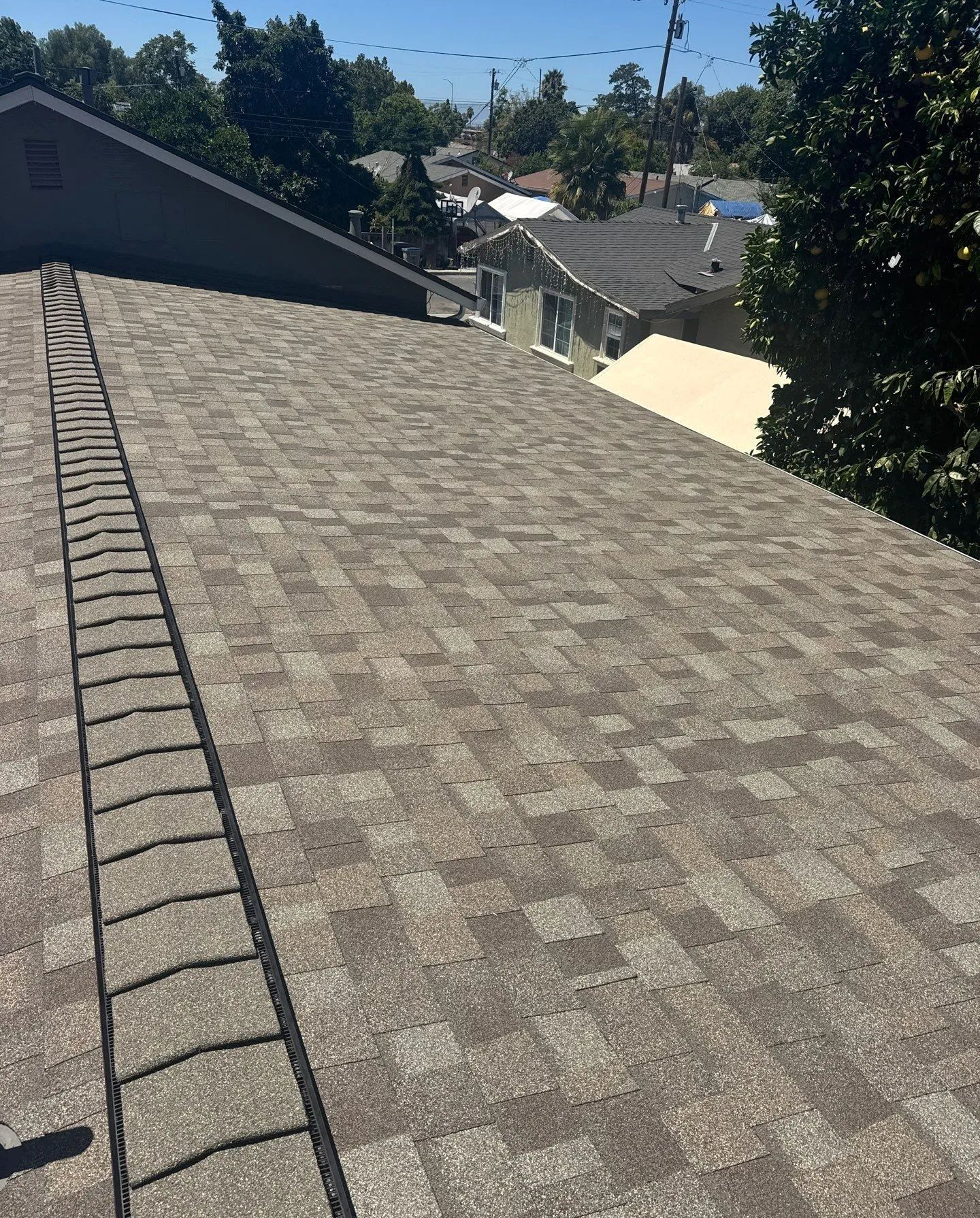 Shingled rooftop with ladder, overlooking a sunny neighborhood and trees