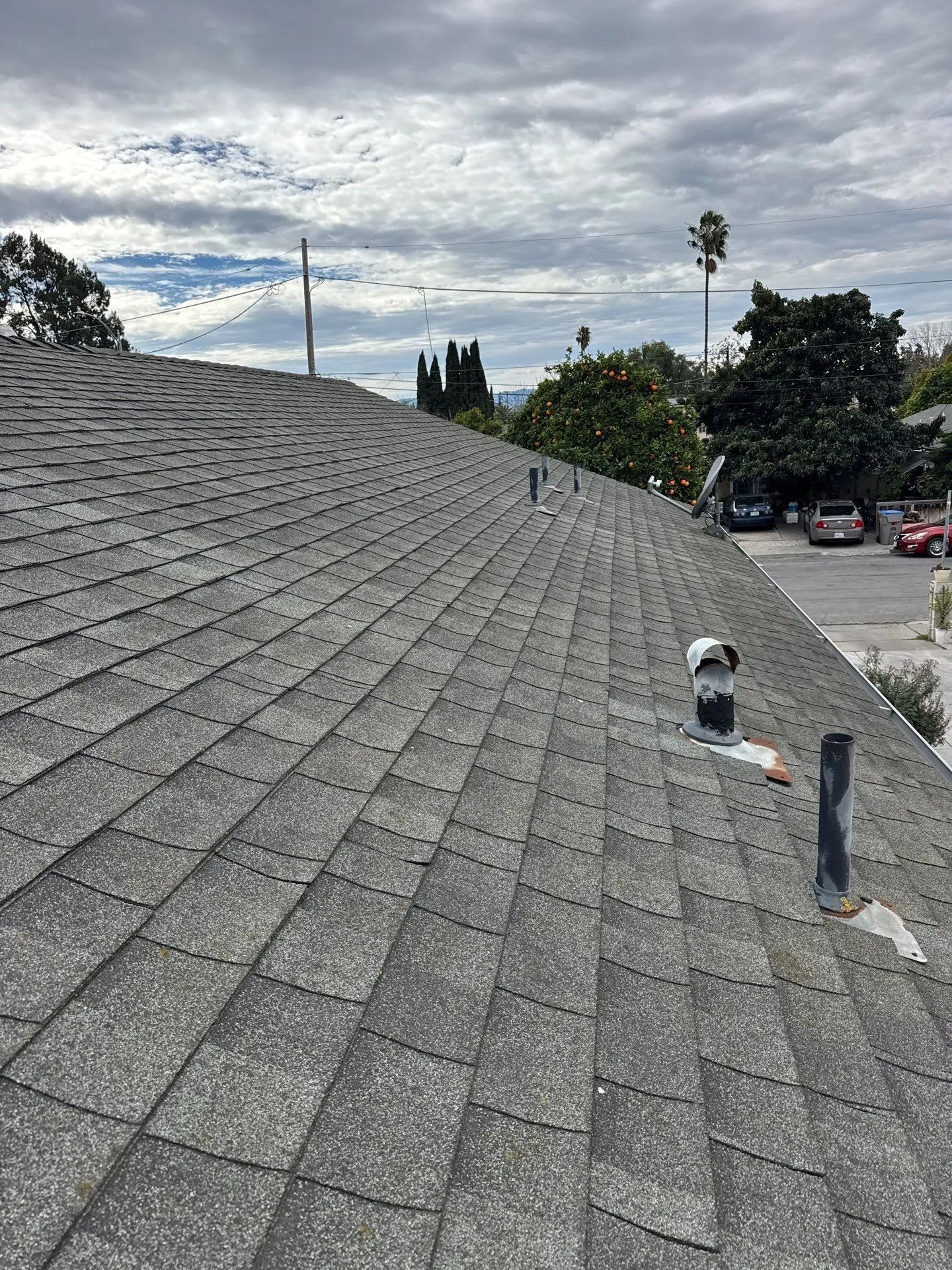 Gray shingled roof with vents and a nearby palm tree under a cloudy sky