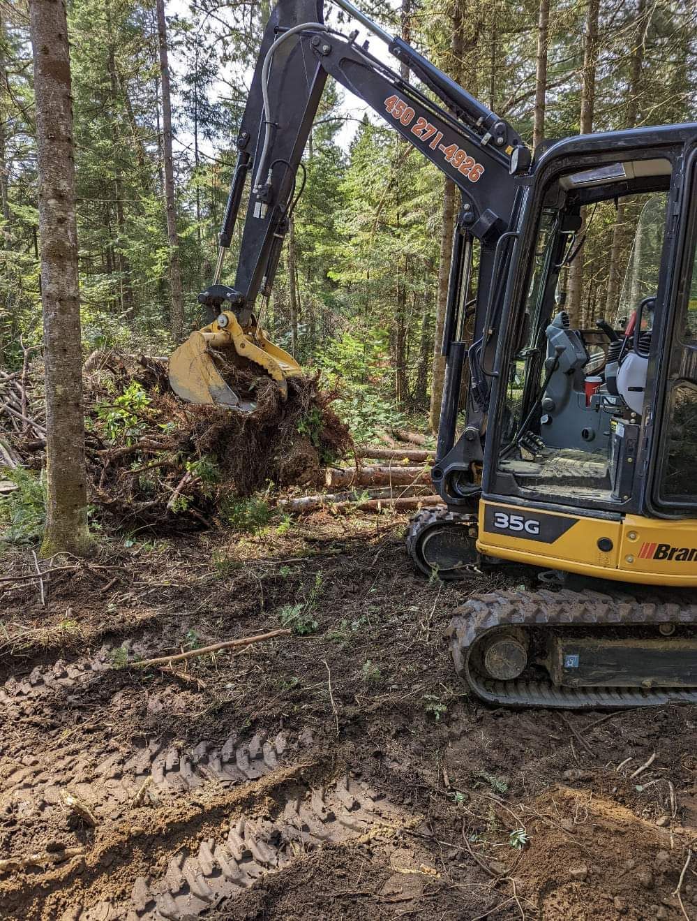 Une petite pelle travaille dans les bois.