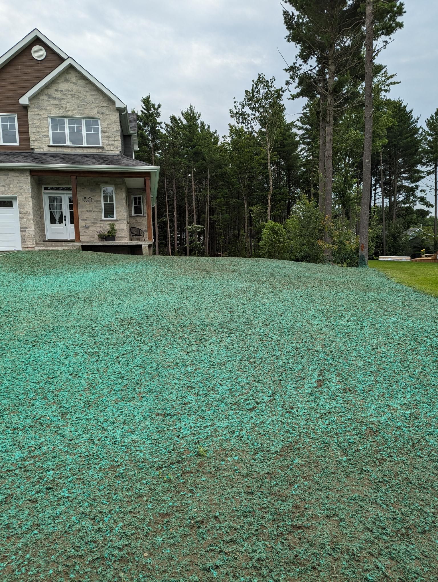 Une maison avec beaucoup d'herbe verte devant.