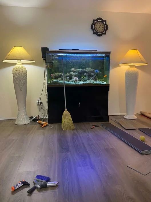 Living room with fish tank, two lamps, and cleaning tools on the floor