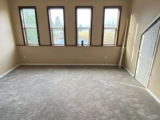 Empty beige room with carpet, four windows, and a white closet door.