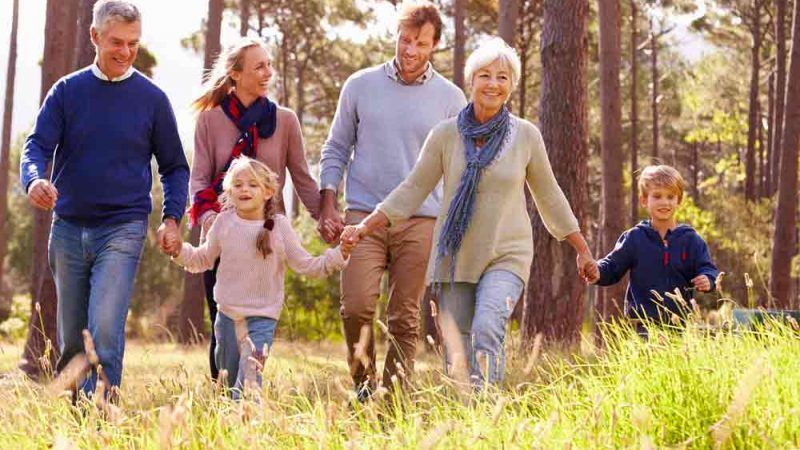 A Family Is Walking Through a Forest Holding Hands — Linda Emery & Associates In Gosford, NSW