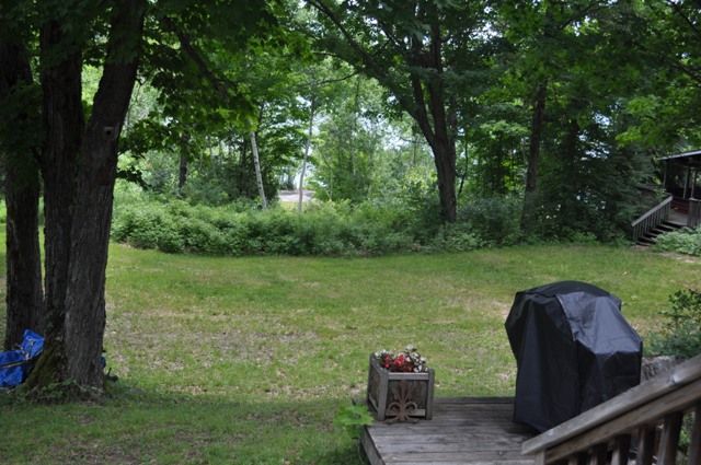 A grill is sitting on a deck in a backyard surrounded by trees.