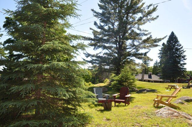 A lawn with a lot of trees and chairs