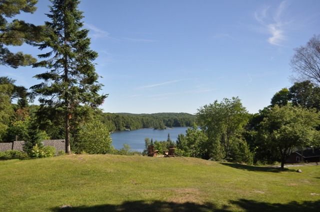 A lush green field with a lake in the background