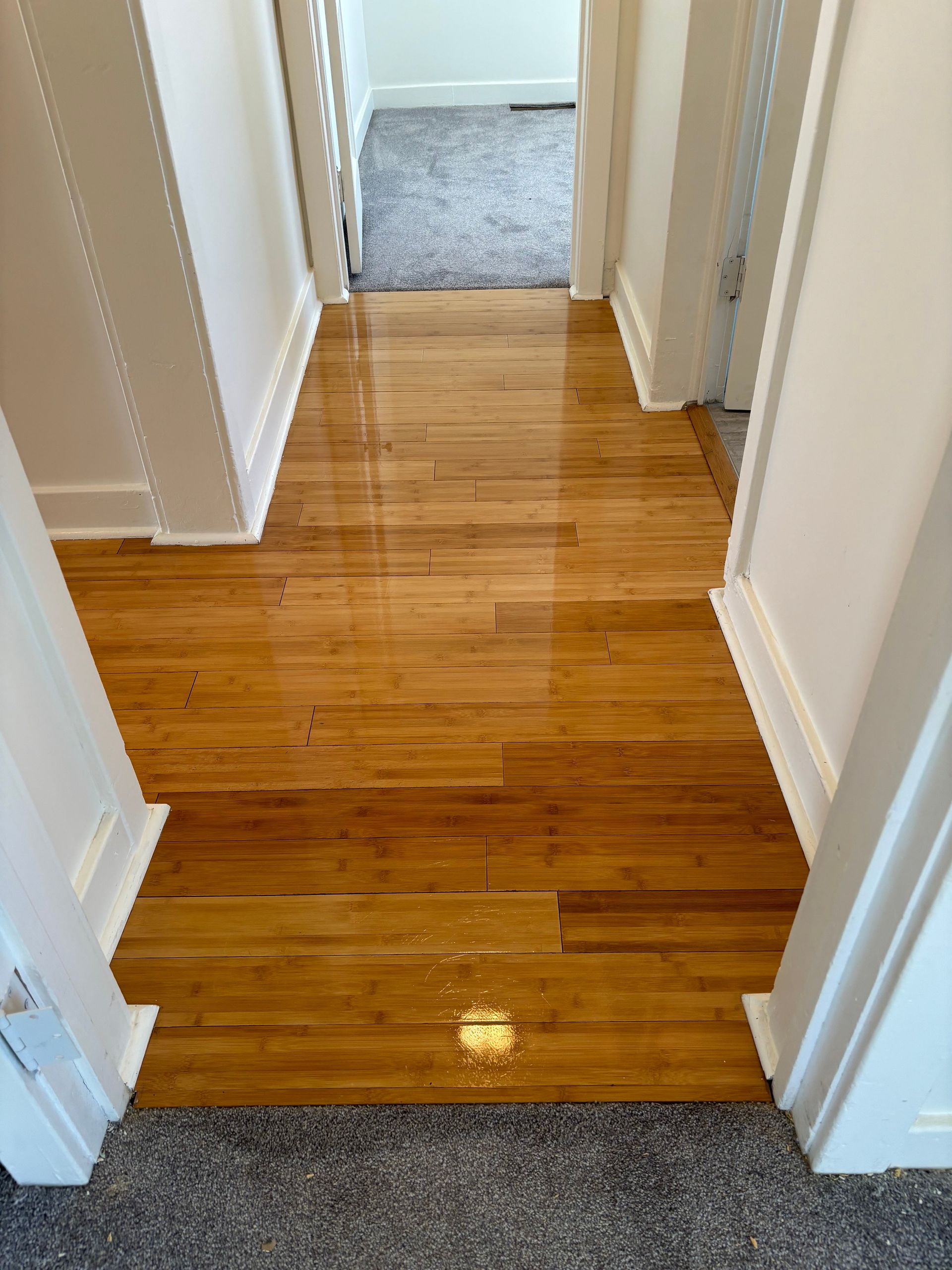 A hallway with hardwood floors and a gray carpet.