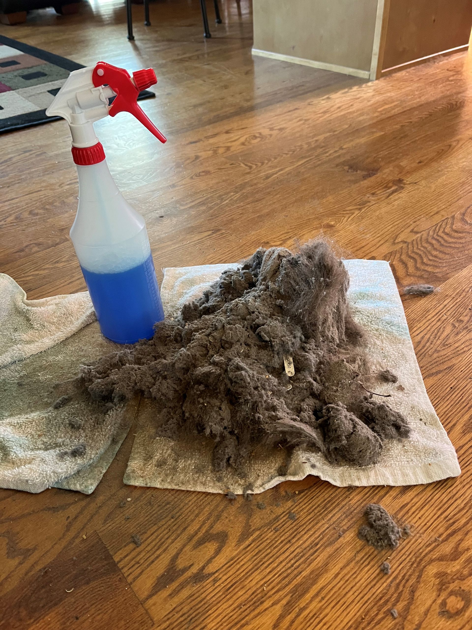 A spray bottle and a pile of dust on a towel on a wooden floor.