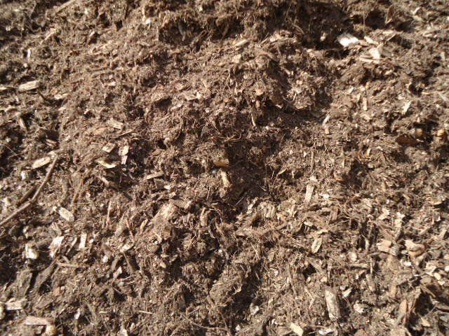 hoop pine bark mulch