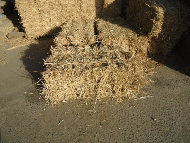 Hay Bale