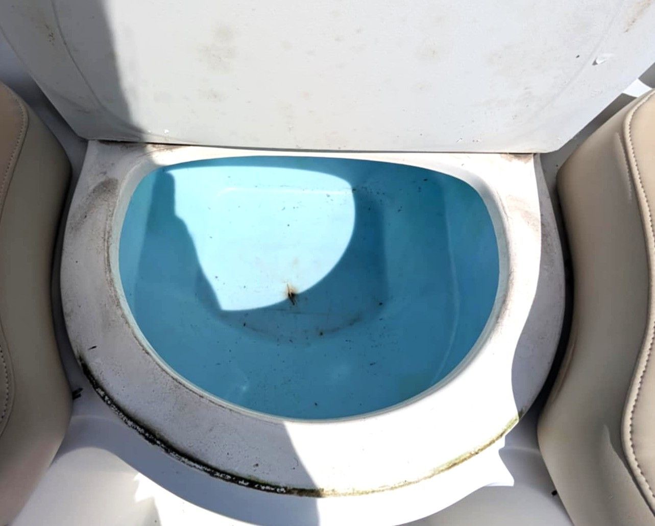 White toilet bowl with blue water, viewed from above.