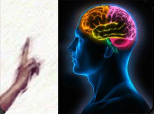 illustrazione raffigurante cervello uomo