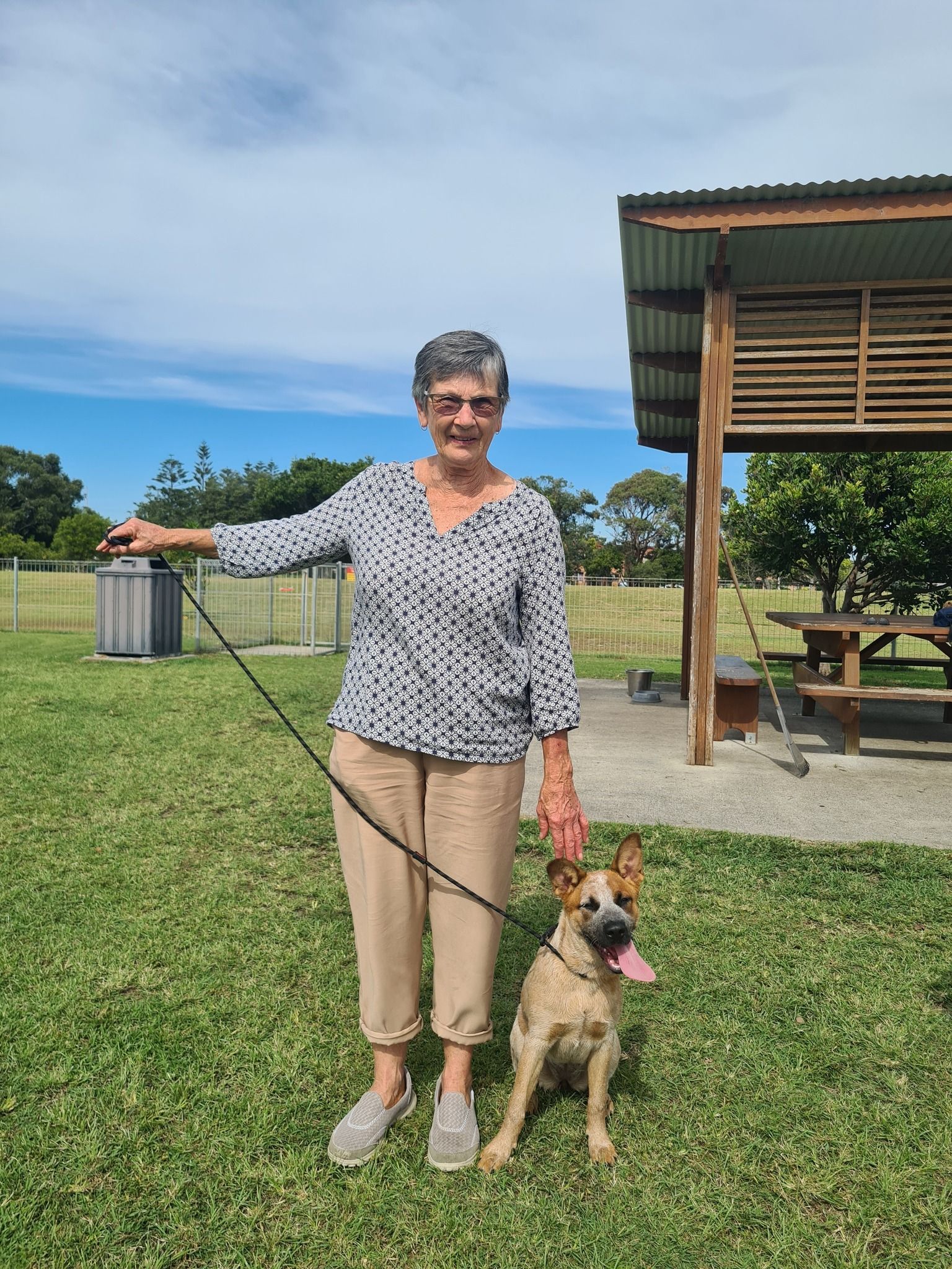Boy Walking Two Dogs on a Paved Area — Amanda's Professional K9 Training In Forster, NSW