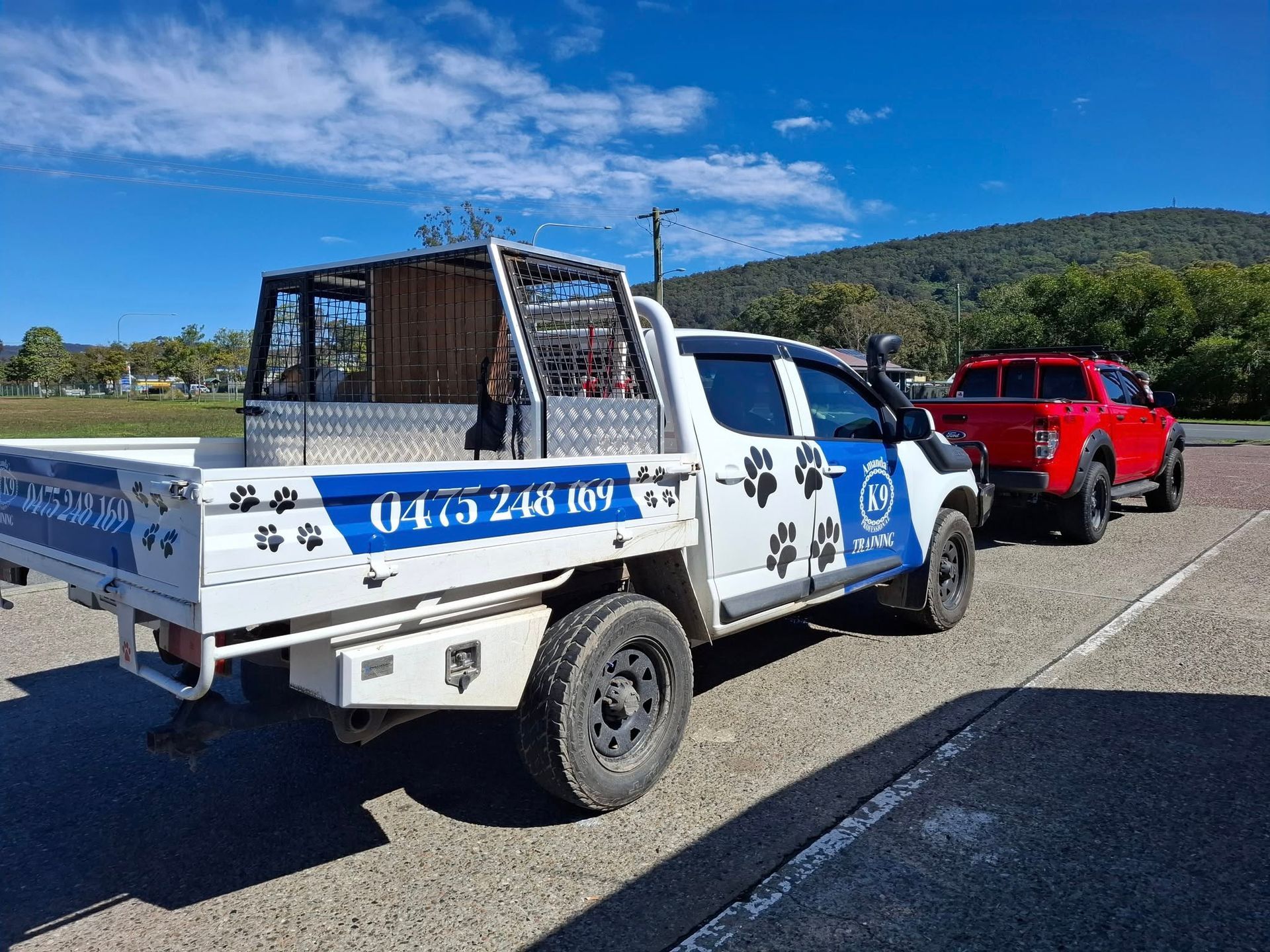 Blue and White Vehicle Door With Logo and Paw Prints — Amanda's Professional K9 Training In Forster, NSW
