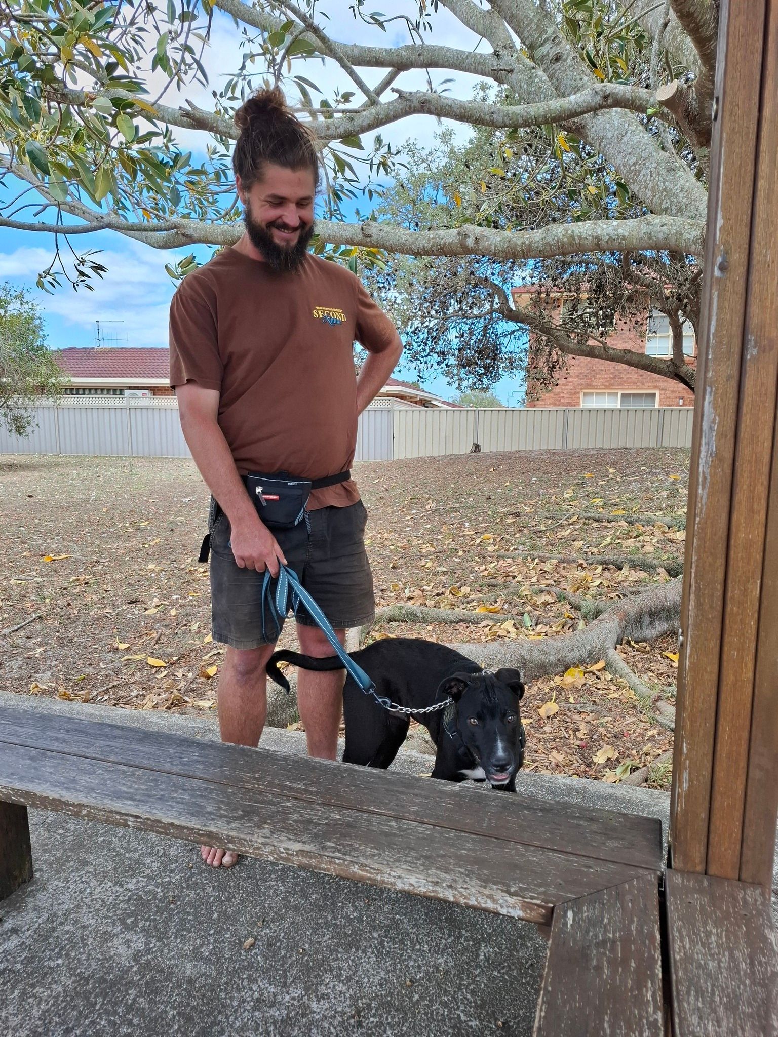 Brown Dog Standing on a Black Table — Amanda's Professional K9 Training In Taree, NSW