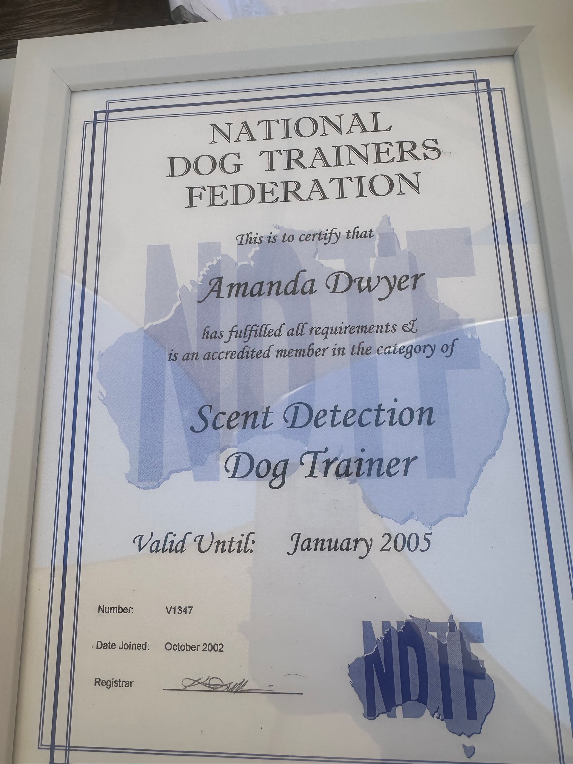 Dog training graduation certificate — Amanda's Professional K9 Training In Forster, NSW