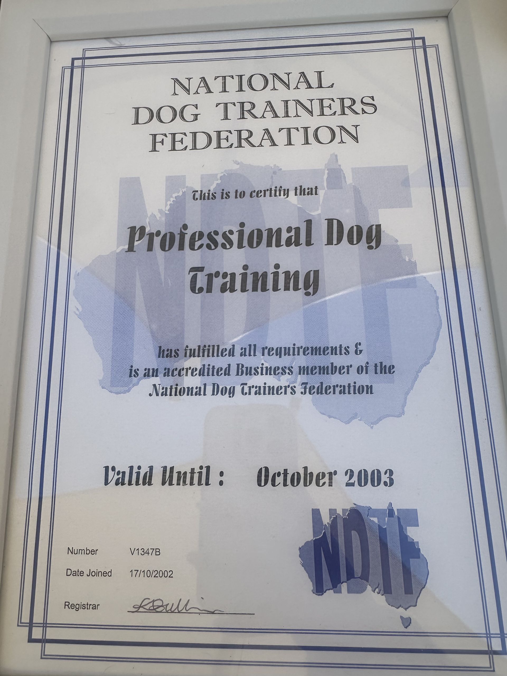 Framed National Dog Trainers Federation certificate for Professional Dog Training — Amanda's Professional K9 Training In Forster, NSW