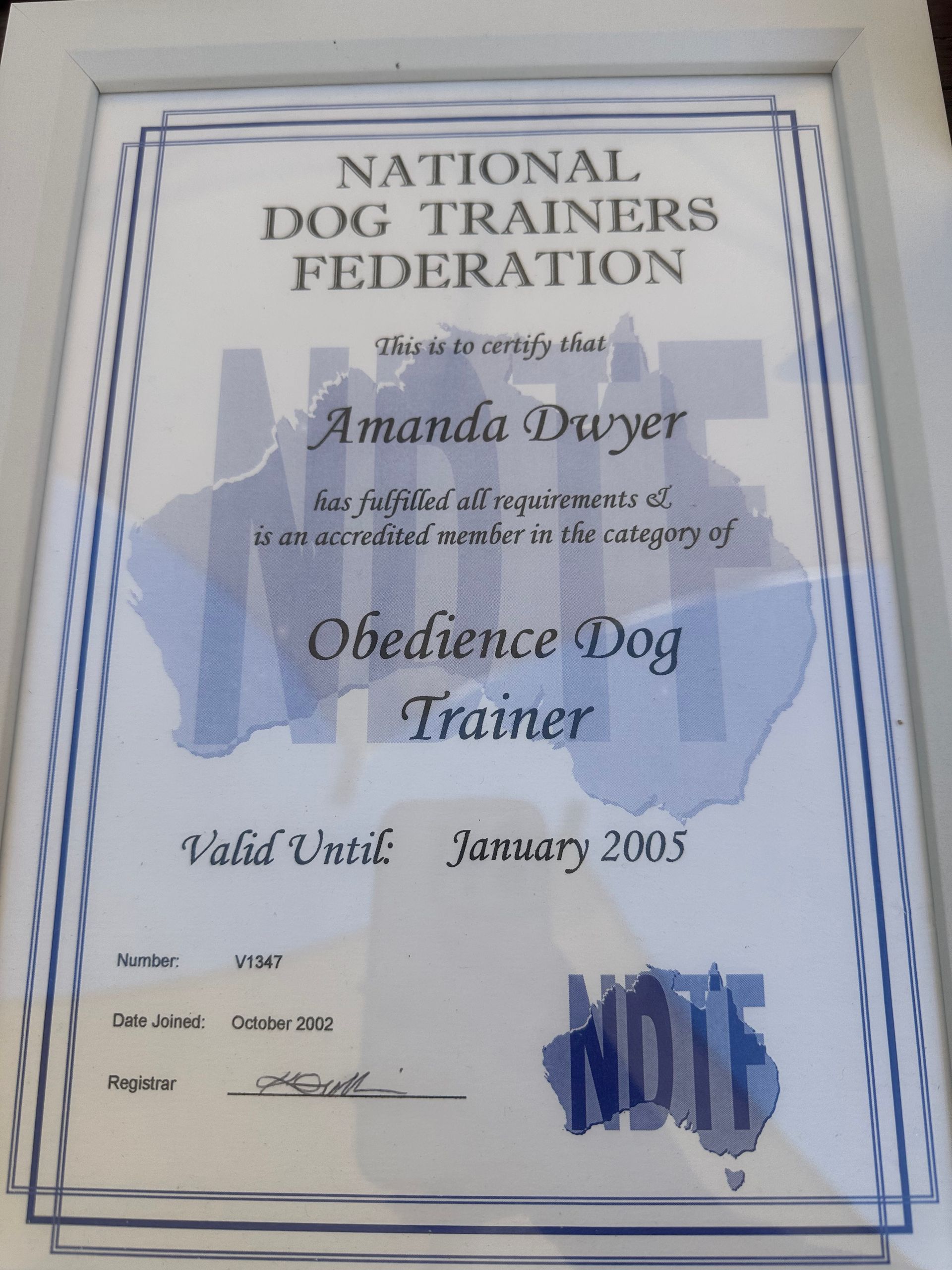National Dog Trainers Federation obedience dog trainer certificate with blue seal — Amanda's Professional K9 Training In Forster, NSW