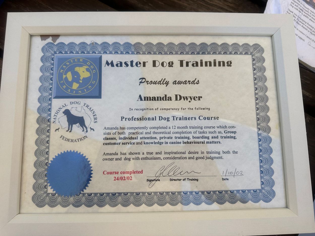 Framed Master Dog Training certificate — Amanda's Professional K9 Training In Forster, NSW