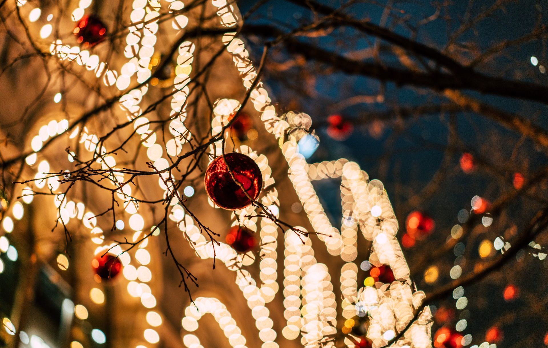 Holiday lights and red ornaments glowing on bare tree branches at night