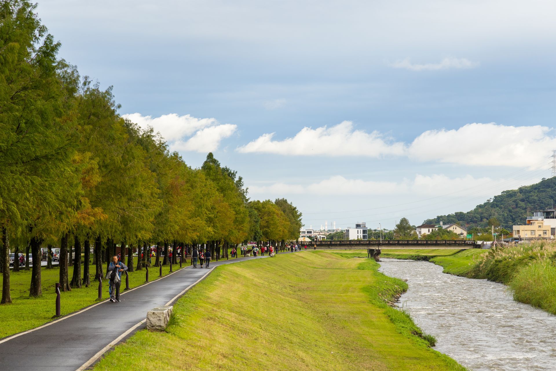 Tree-lined riverside path beside a grassy bank under a cloudy sky