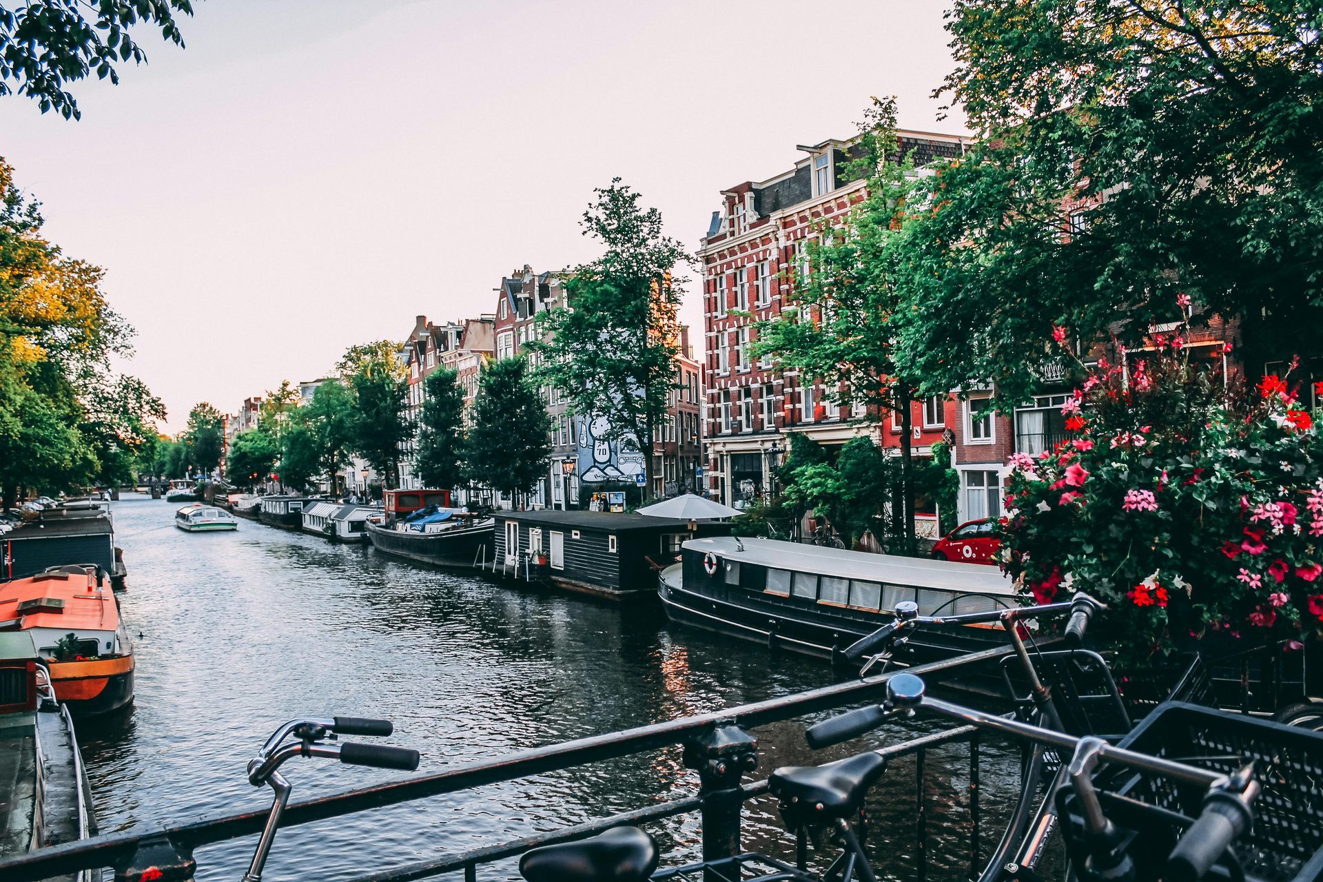 Image of a canal in Amsterdam with trees blooming and boats parked along the sides.