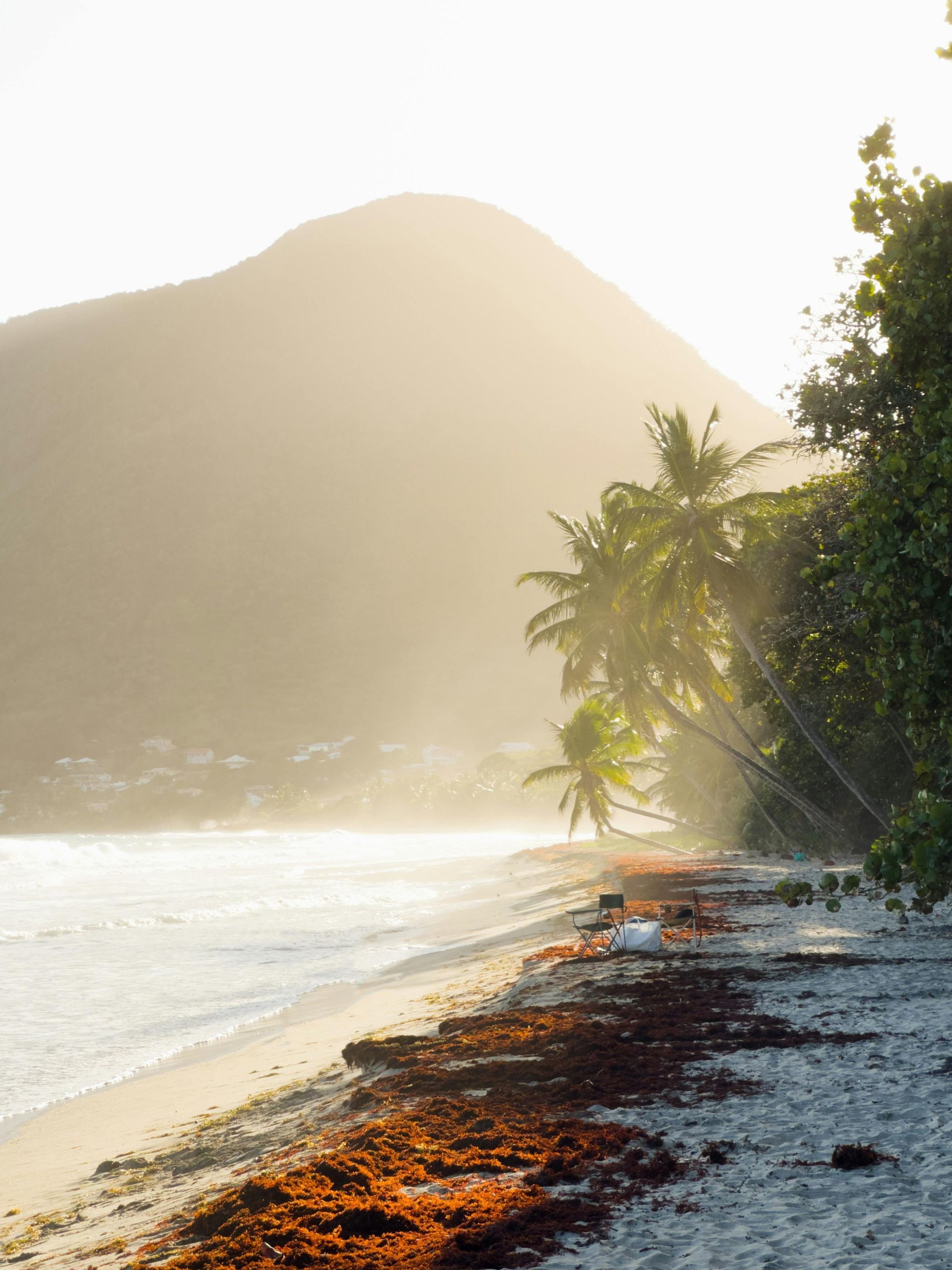 Beach scene with palm trees, mountain backdrop, and golden sunlight.