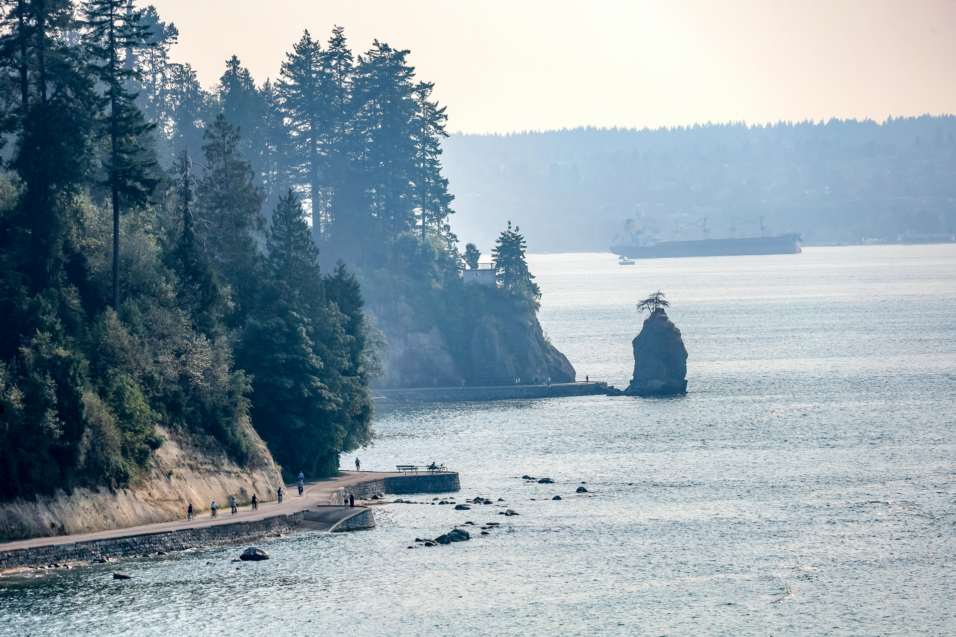 Coastal scene with rocky shoreline, ocean, trees, and distant cargo ship.