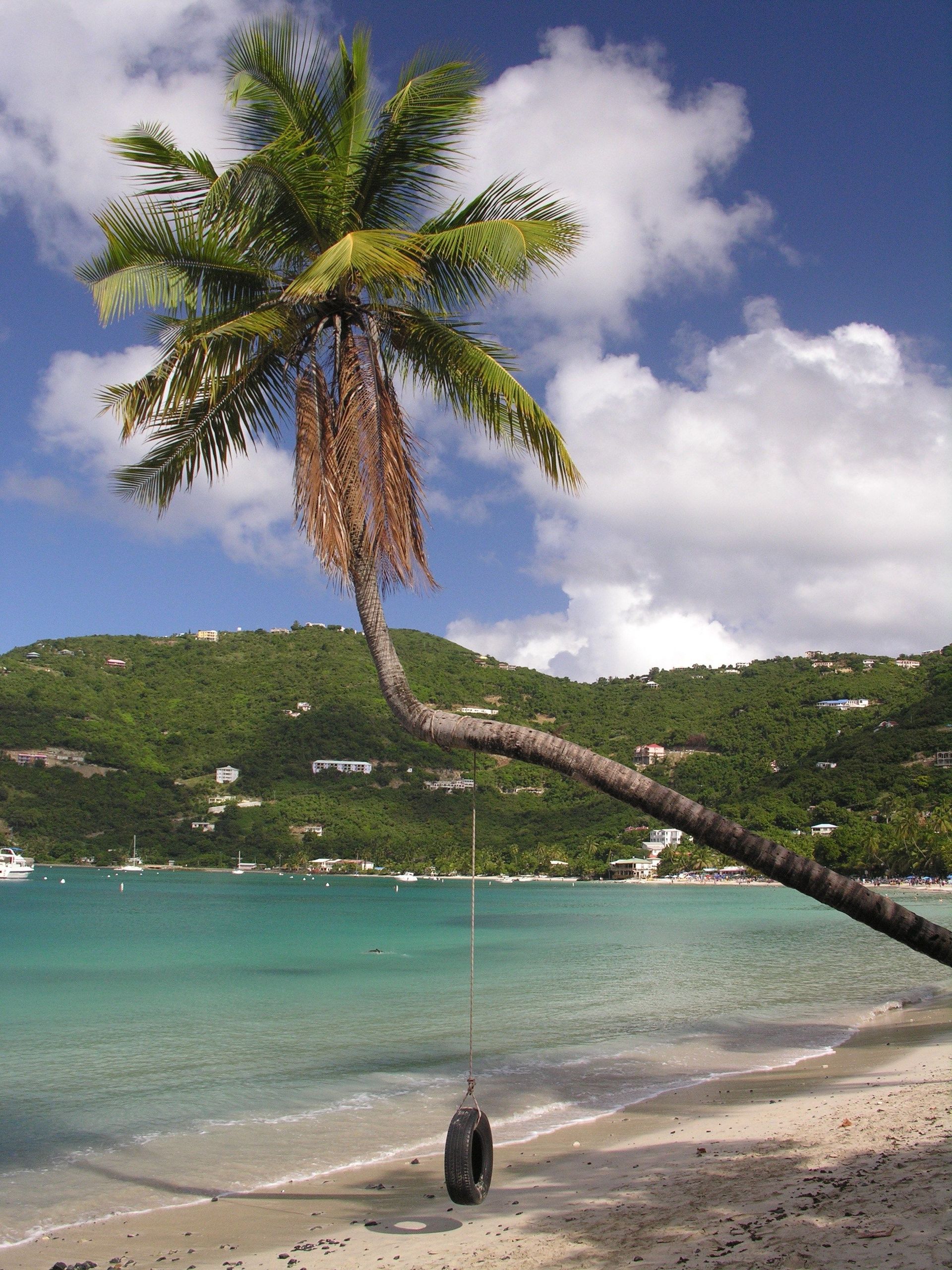 A view of Magens Bay from behind a palm tree with smooth sand  with clear and calm water in the background.