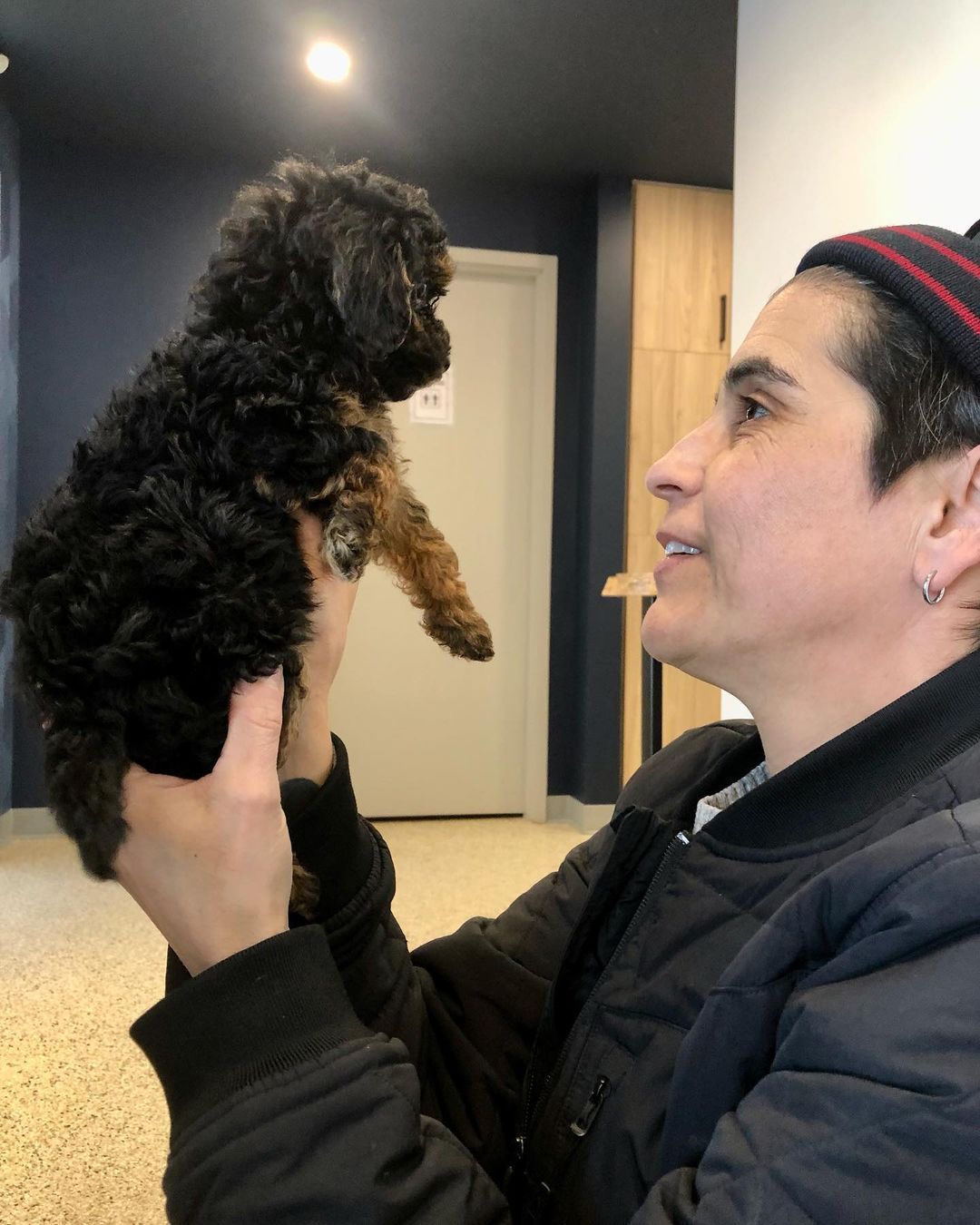where to buy poodle puppies 
