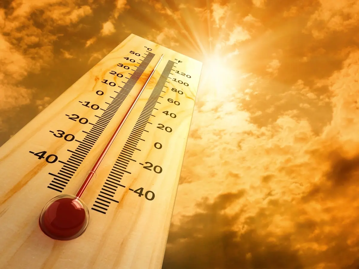 Heatwave , tips  on how to take care of yourself during heatwave
