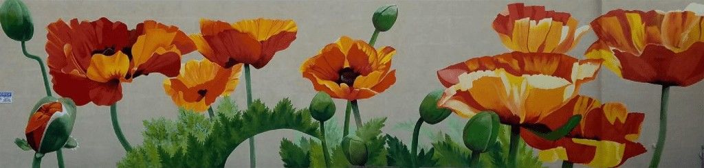 Poppies