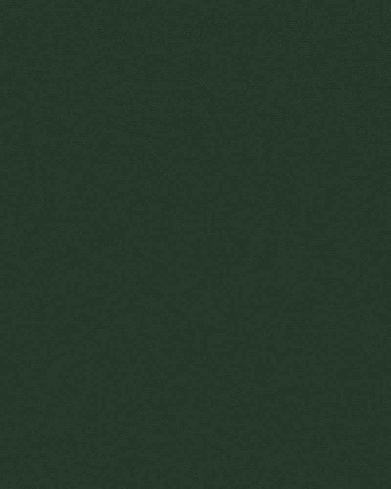 A close up of a green paper texture.