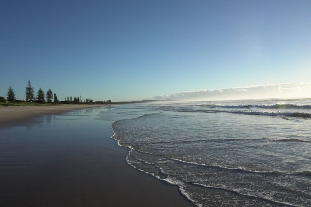 A beach with trees on the shore and waves coming in