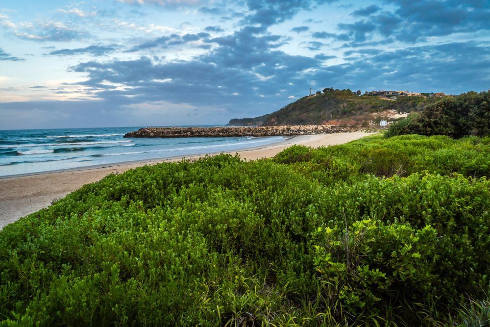 A beach with a lot of green plants and bushes surrounding it.