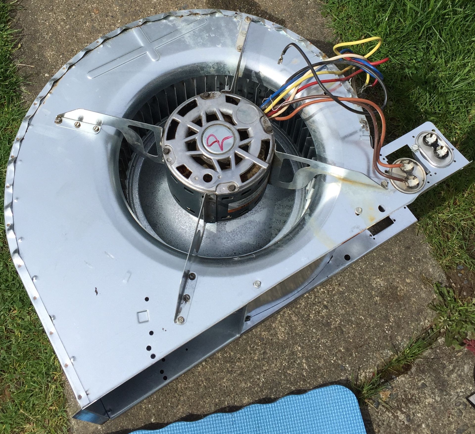 Heat pump blower motor professionally cleaned during Kings Heating maintenance visit