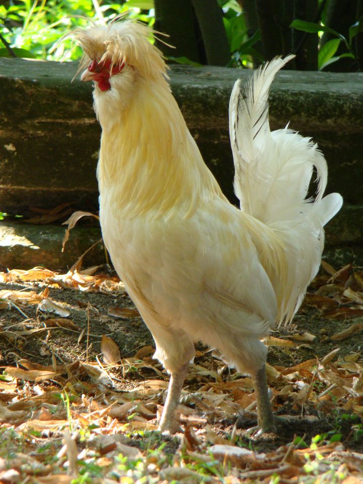 agriturismo 