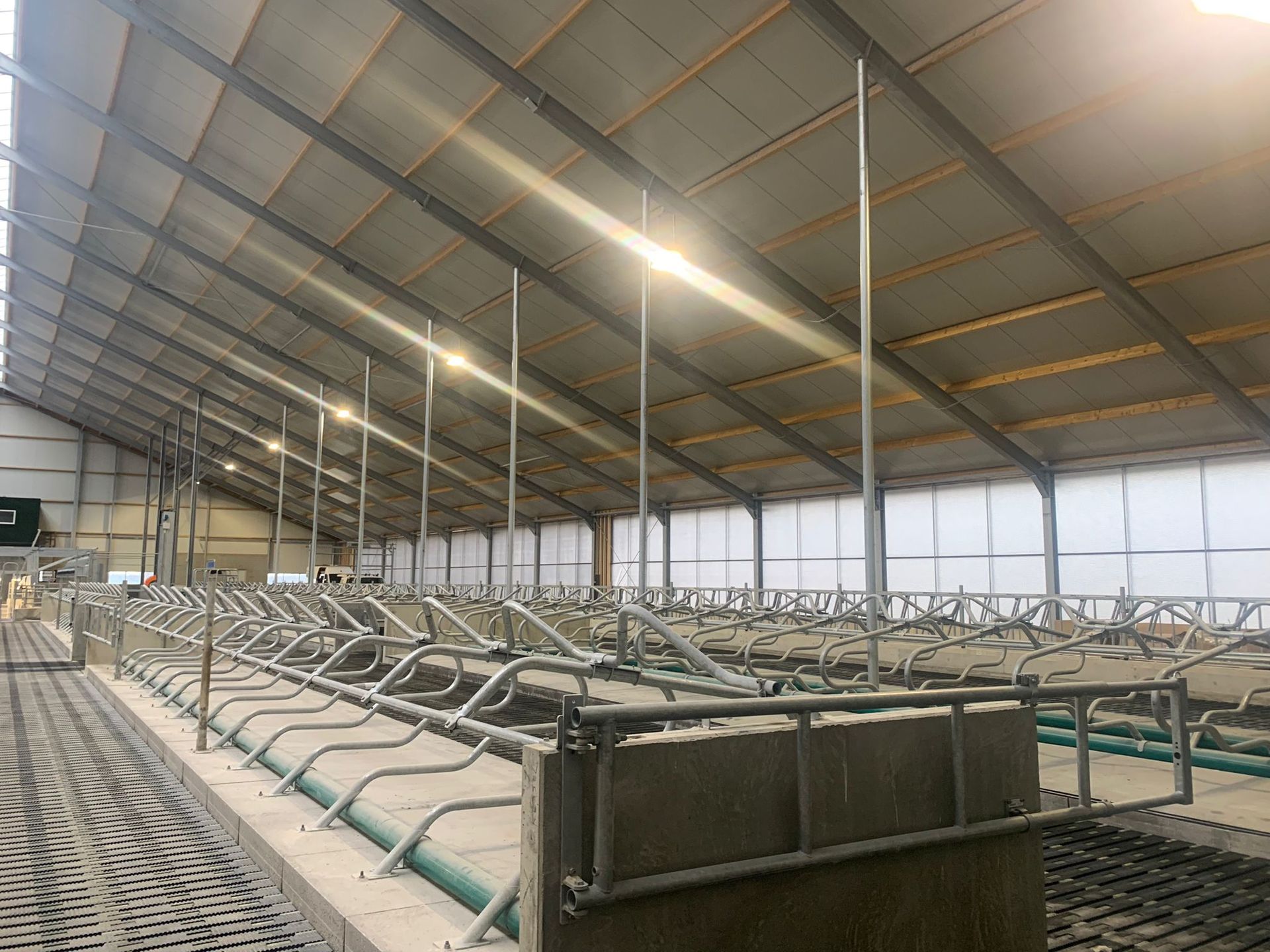 Een interieurfoto van een moderne veestal met rijen metalen boxen en een betonnen vloer.