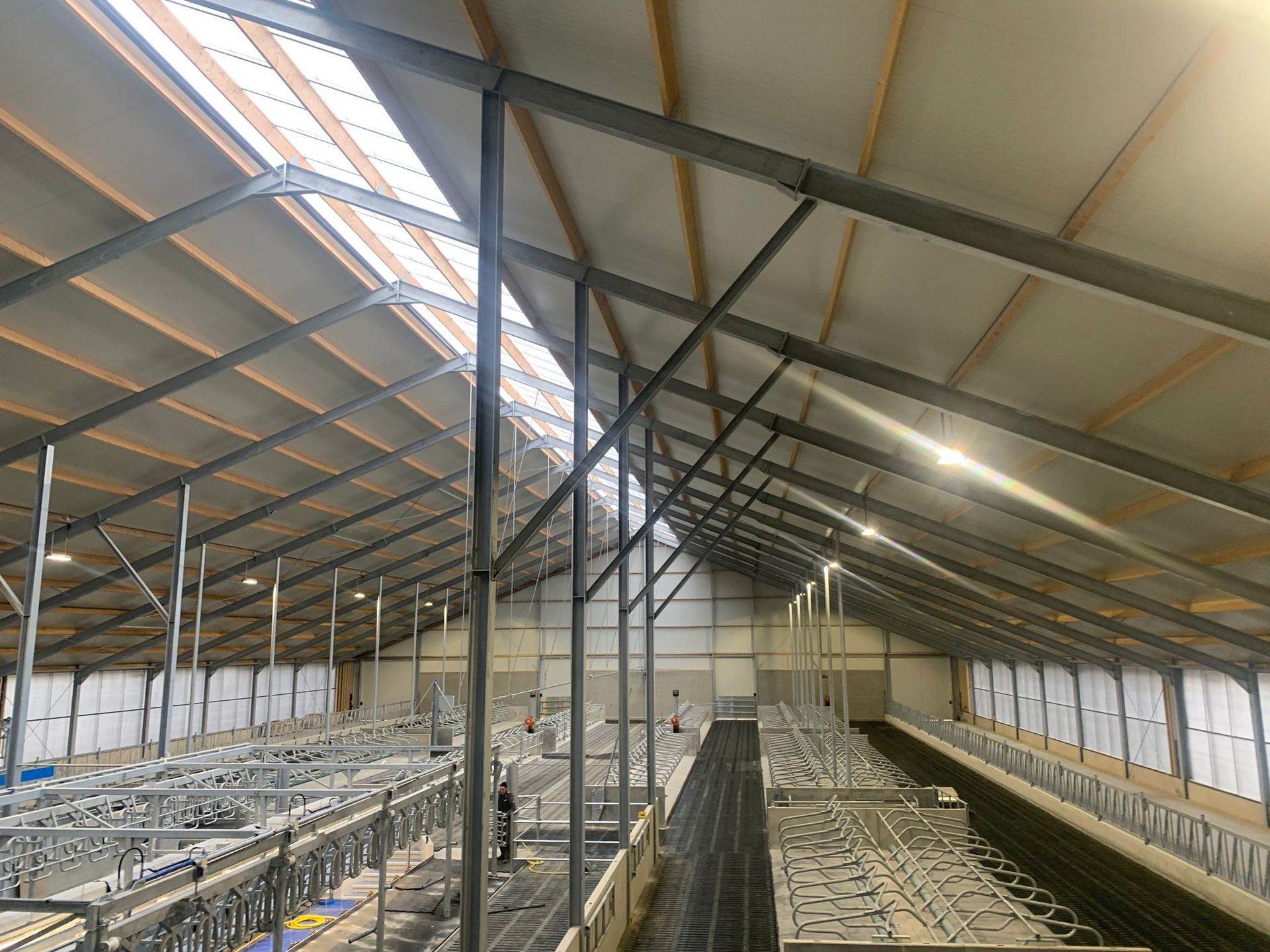 Het interieur van een grote, moderne schuur met een stalen frame, een hoog zadeldak, dakramen en rijen stallen voor het vee.