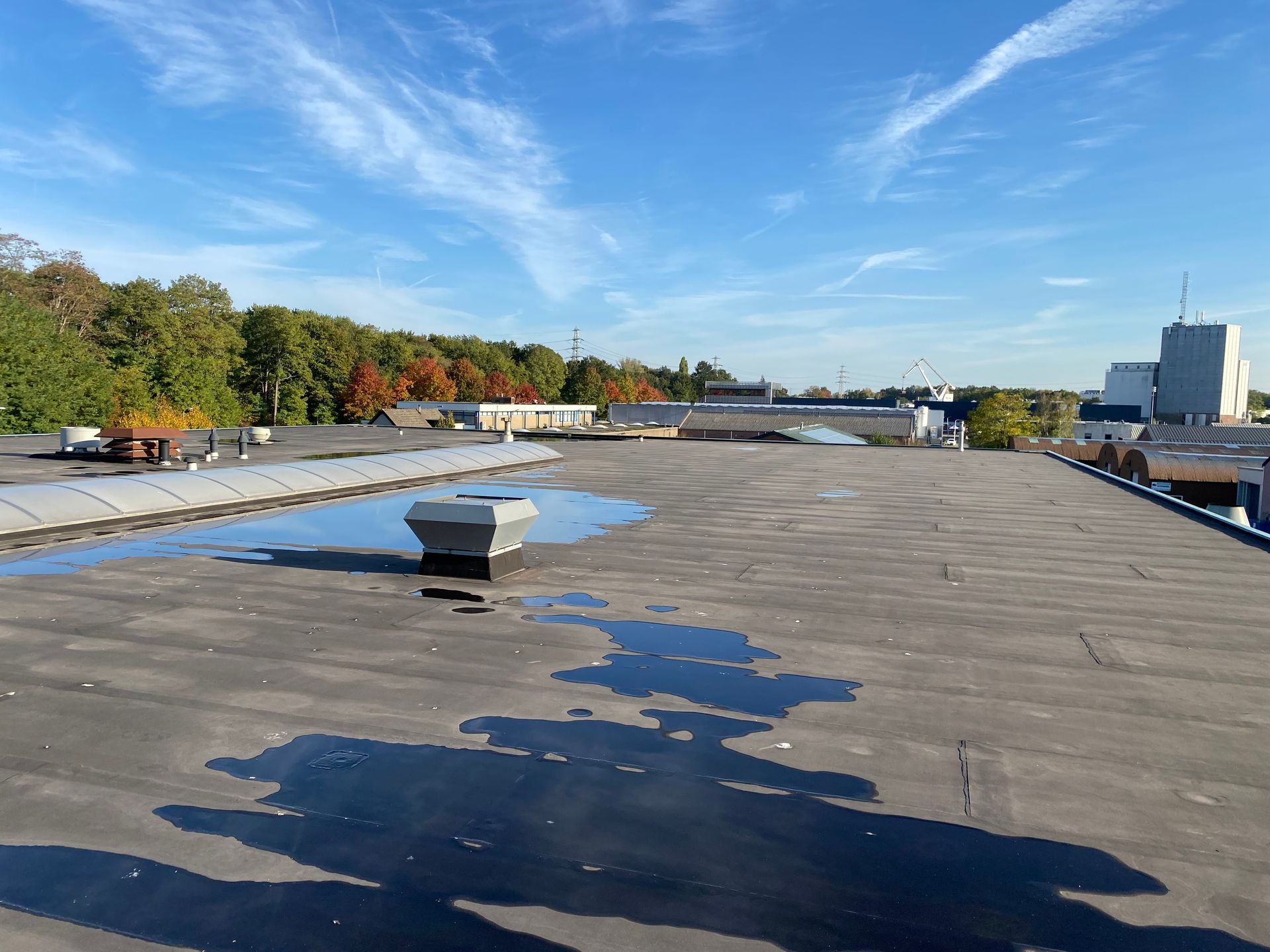 Een plat, grijs industrieel dak met plassen water, een centrale ventilatieopening en in de verte een rij bomen onder een helderblauwe hemel.