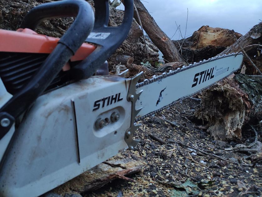 Una motosega Stihl è appoggiata accanto a una pila di tronchi