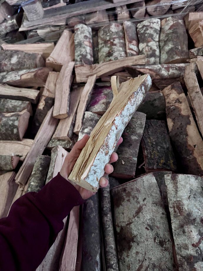 Una persona tiene in mano un pezzo di legno davanti a una catasta di tronchi.