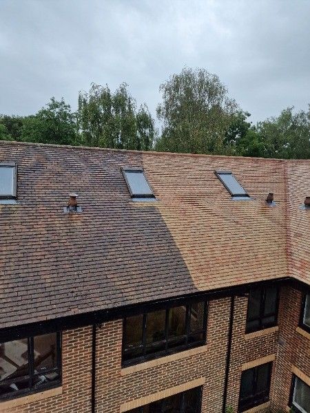 Roof of a building with a section cleaned, showing a contrast in color. Skylights and trees in background.