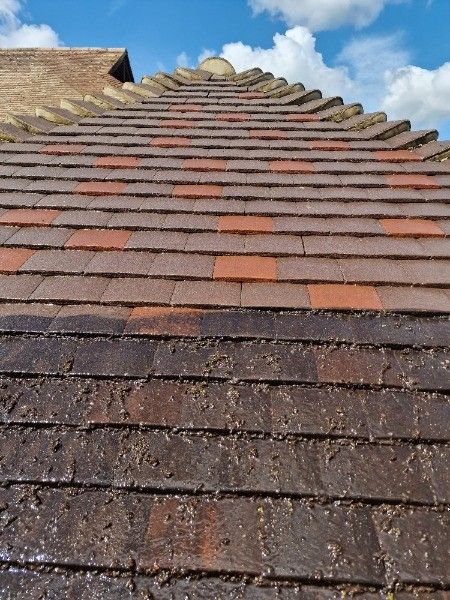 Close-up of a tiled roof, mainly brown and red, with a cloudy blue sky in the background.