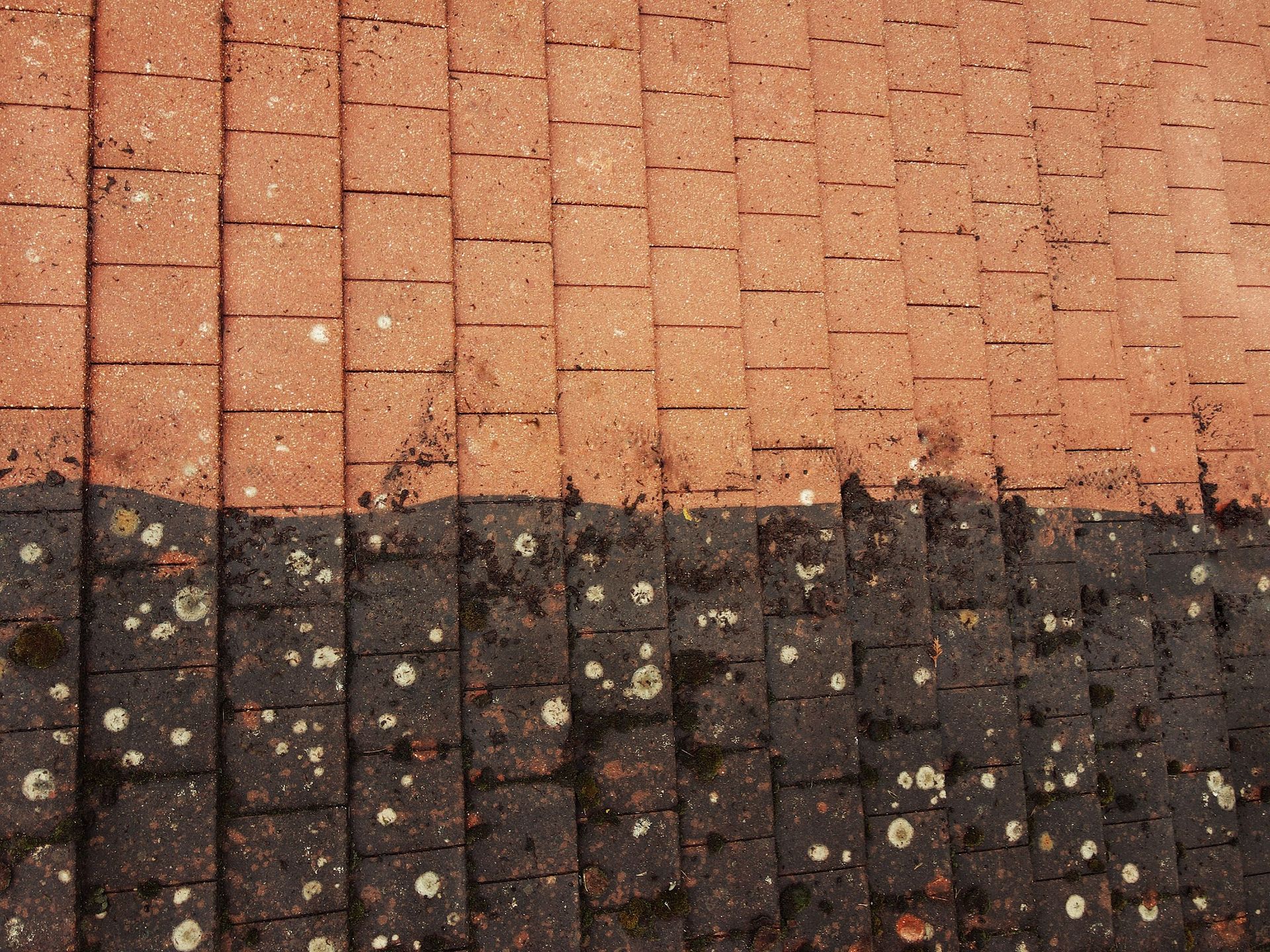 Half-cleaned roof shingles, showing a contrast between the original reddish-brown and the dark, mossy buildup.