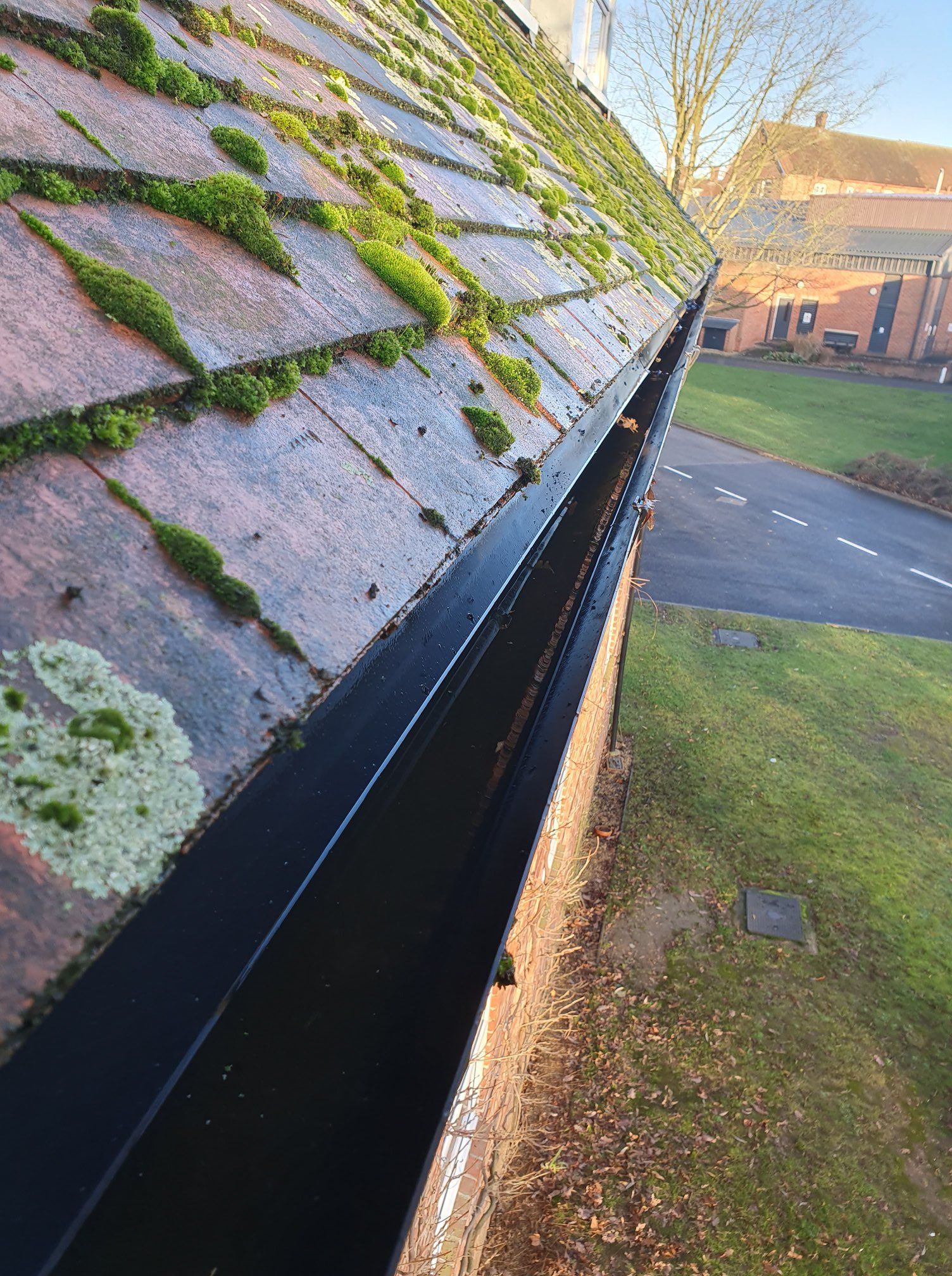 Black gutter along a red tile roof covered in moss. Green grass and a paved road visible.