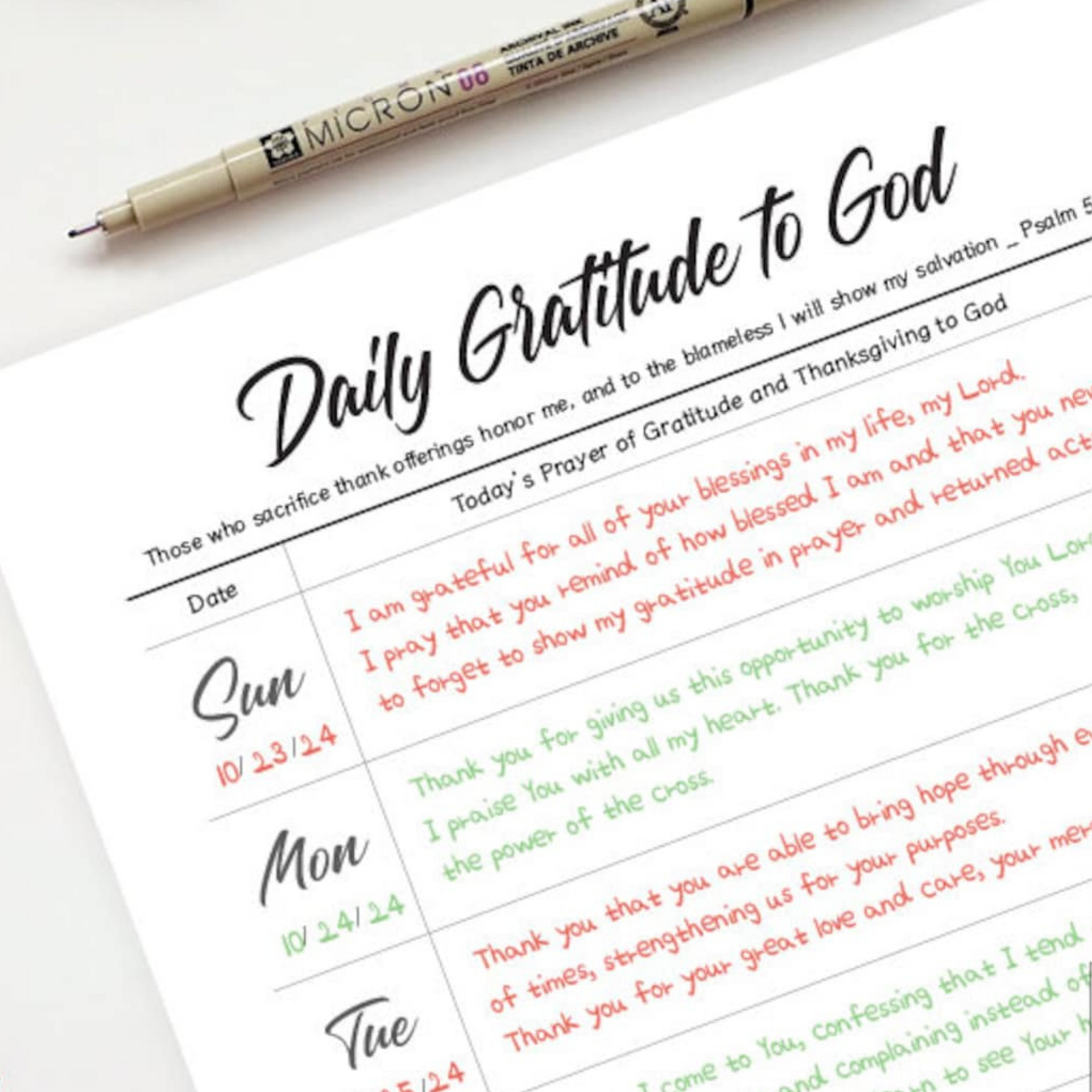 Daily Gratitude
