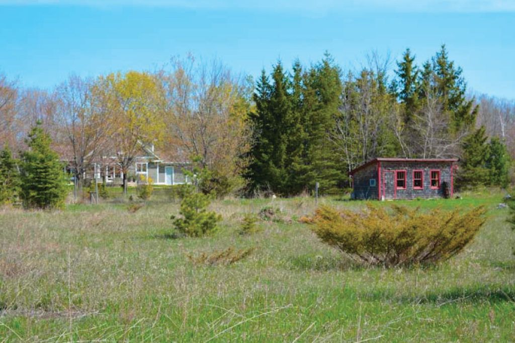 Coop-Finds-a-Home-4-1024x682