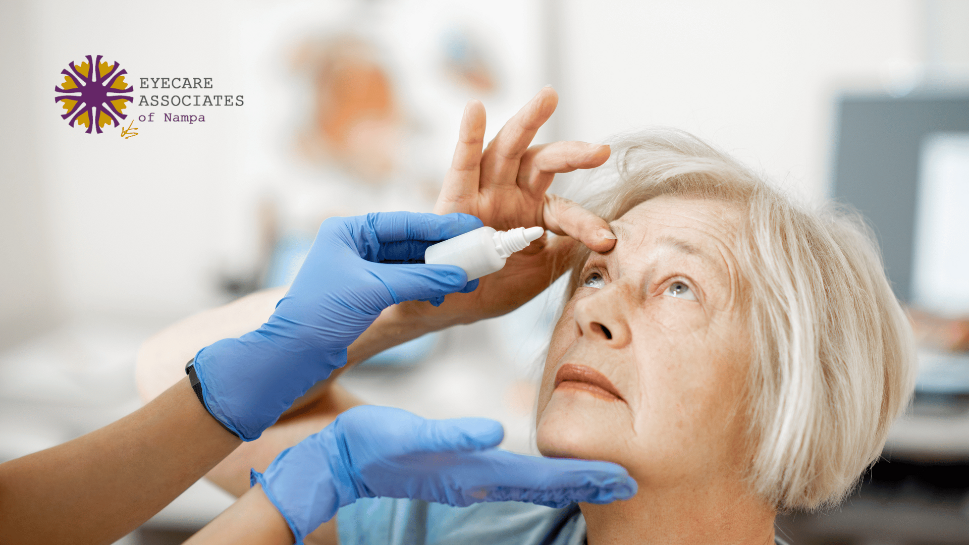 Age Related Macular Degeneration